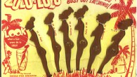 Don’t hate me for wanting to get one of these Zulu Lulu swizzle stick sets — it’s just too horrific not to own if you’re into non-PC things, which I...