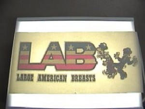 retro-lab-iron-on