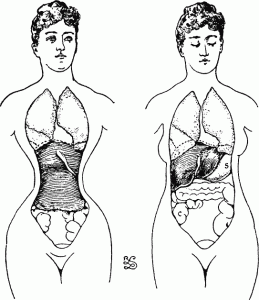 fig6-7-squishy-guts-from-corsets