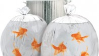 Whatjamacallit Wednesday: Happy Sacks If you literally have money you’d like to throw away… How about some Happy Sacks for your garbage? Celebrate your need for excess with Christmas Pudding and Goldfish trash bags....