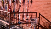 Bike. Rack. I’ve been so busy, I almost forgot to post this! Photos taken of the HoDo, covered in bras, for the 3rd Annual Bras on Broadway, downtown Fargo.