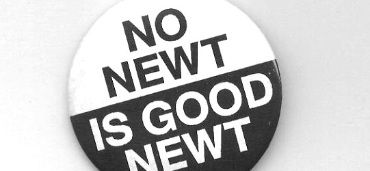 I had these buttons / pinbacks made back in the day — the early days of the gross ineptitude, racism, and misogyny of the political money-grubbing beast that is Newt...