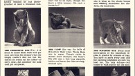 Which Cat Is Your Wife? A “fun little quiz” based on photographs of cats taken by Walter Chandoha — found in Every Woman’s magazine, October 1952. Which seems more than a little odd… Did “every...
