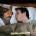 I troll eBay; hey, it’s part of my job. So I was conflicted when I saw one of those kitschy BK pillowcases on eBay. I love Burger King — the...