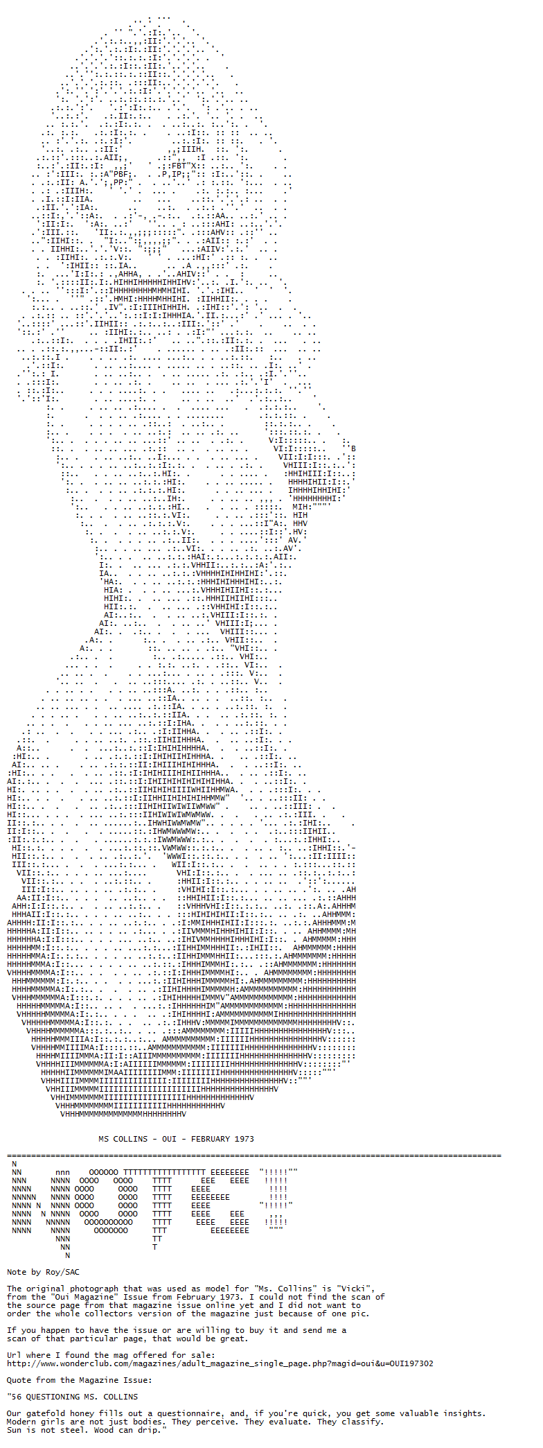 Ascii Art Pussy 102